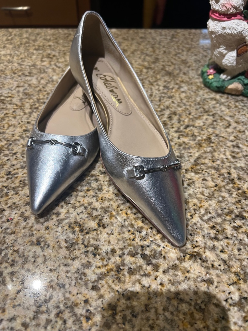 Sam Edelman Metallic Silver Pointed-Toe Ballet Flats with Bit